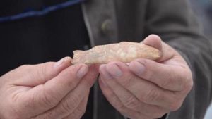 اكتشاف مجسم سمكة يعود تاريخها إلى آلاف السنوات بأزمير