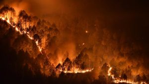 اندلاع حريق ضخم في غابات موغلا
