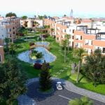 هاشتاغ " هيفاء وهبي في بورسعيد" يتصدر الترند في مصر 5