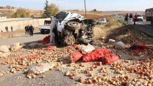 مقتل 4 أشخاص في حادث مروع في ​​شانلي أورفا