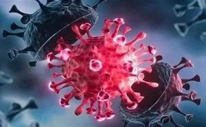 طبيبة من مكتشفي “أوميكرون” تزف خبر سار بشأن اختفاء المتحور