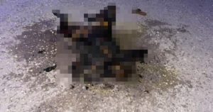 تركيا .. مصرع امرأة سورية بعد حرقها لنفسها والسبب صادم