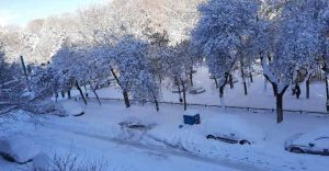 والي غازي عنتاب يحذر من عاصفة جديدة.. والبلدية تعلن مجانية المواصلات