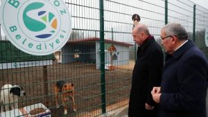 أردوغان يزور مركزًا لرعاية الحيوانات الضالة