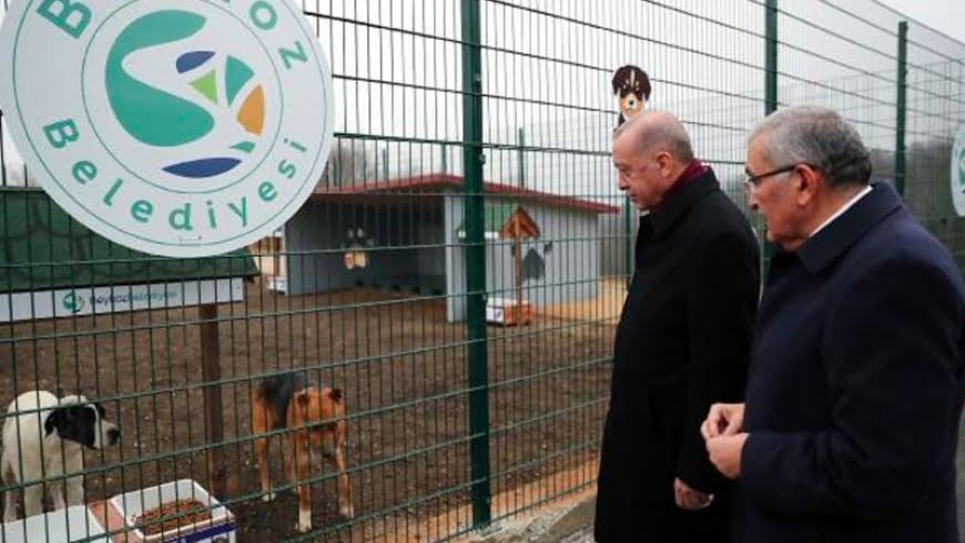 أردوغان يزور مركزًا لرعاية الحيوانات الضالة 1