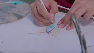 فنانة فلبينية ترسم على ظهر صراصير ميتة