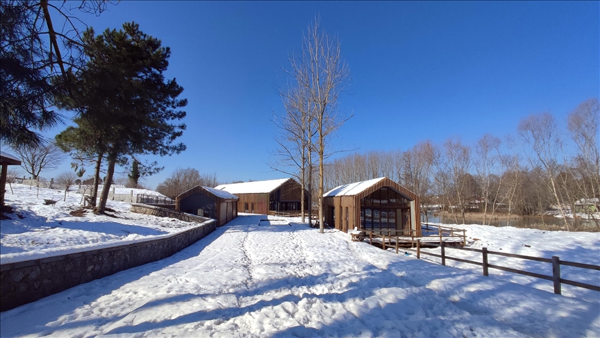 الثلوج تزيد من جمال سهل أجارلار الفيضي غرب تركيا 5