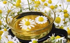 عشبة البابونج تصبح خطرا في هذه الحالة.. إحذر!