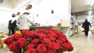 أقوى رسائل عيد الحب 2023 للحبيب