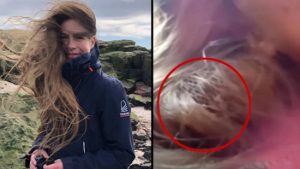 عصفور يعشش في شعر شابة بريطانية 84 يومًا! 