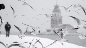 والي إسطنبول يعلن عن إجراءات جديدة لمواجهة العاصفة الثلجية