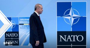 الناتو لن يدافع عن تركيا إذا اعتُدي عليها وأردوغان هو الحل