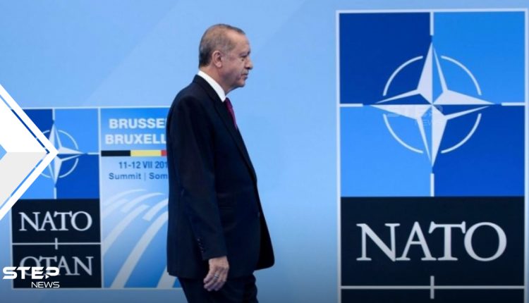 الناتو لن يدافع عن تركيا إذا اعتُدي عليها وأردوغان هو الحل