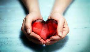 هل مرضى القلب يستطيعون الزواج؟.. طبيب يحسم الجدل 1