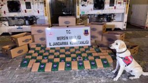 الداخلية التركية: ضبط كمية ضخمة من الكوكايين في ميناء مرسين