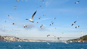 تعرف على حالة الطقس يوم الانتخابات الرئاسية