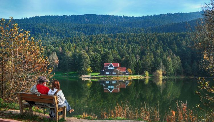 المحميات الطبيعية في بولو التركية تحتفي بمقدم الربيع