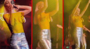 المغنية التركية جولشين تنتهك قواعد اللباس في آخر حفلاتها الموسيقية (فيديو)