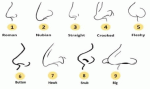 اعرف شخصيتك من شكل أنفك (اختبار غريب شارك لتعرف)