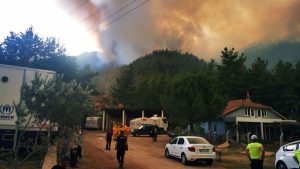 وزير العدل التركي يعلن تشديد العقوبات على المتسببين بحرائق الغابات