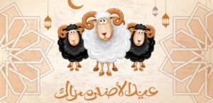 هل ستكون عطلة عيد الأضحى 9 أيام في تركيا؟