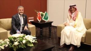 لقاء تركي سعودي في مصر