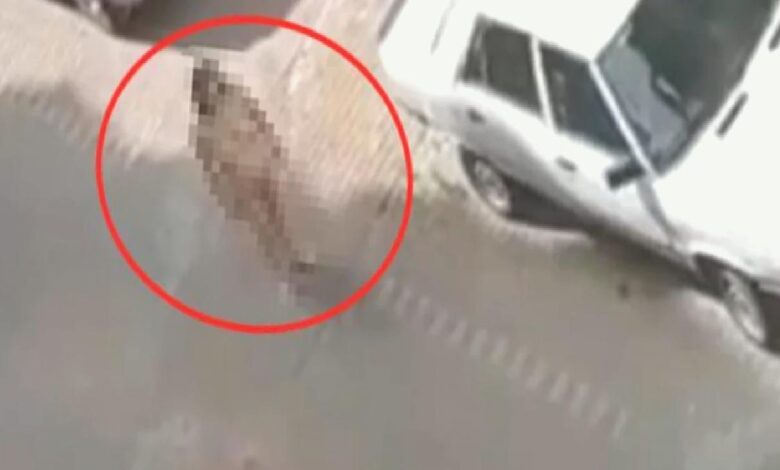 امرأة تتجول عارية في أحد شوارع تركيا (فيديو) 14