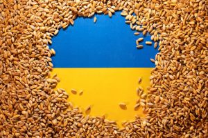 خبير تركي: روسيا بحاجة لحل أزمة الحبوب أكثر من أوكرانيا لهذا السبب!