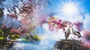 تركيا .. توقعات الطقس للأسبوع الجديد