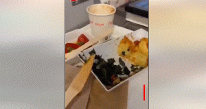 العثور على رأس ثعبان في وجبة طعام على متن طائرة ألمانية تركية.. وشركة الطيران تعلق (صور)