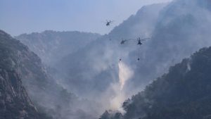 تركيا تعلن السيطرة على حريق غابات موغلا