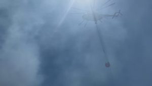 السيطرة على حرائق غابات بيكوز بإسطنبول 