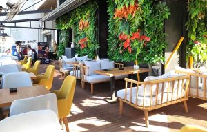 زلزال بقوة 7.8 درجات وأنت تتناول قهوتك.. اغرب مقاهي حول العالم