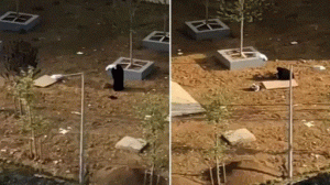 تركية تقوم بدفن زوجها حي في إسطنبول والسبب صادم!