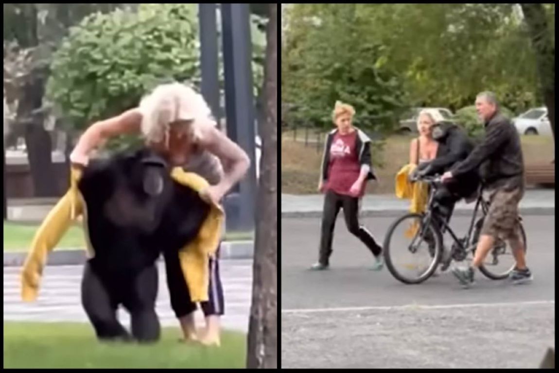 أذكى الحيونات يهرب ويرفض العودة للحديقة إلا بشرطين !! 1