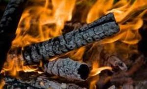 الألمان يعودون لـ “عصر الحطب”.. والسبب!