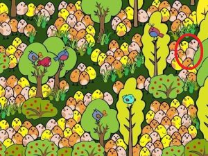 اختبر قوة نظرك من خلال الصورة.. تحدي لاختبار مدى قوة الرؤية لديك | لا تفوته 3