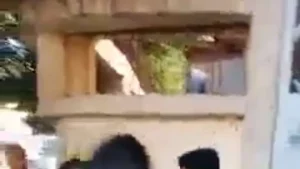 شاهد فيديو مشاجرة طلابية في جامعة الأردن كلية حقوق