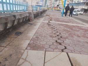 زلزال تركيا