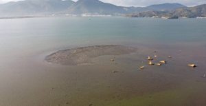 صور مفزعة لانحسار البحر في مرسين وموغلا وبودروم وفتحية (شاهد) 3