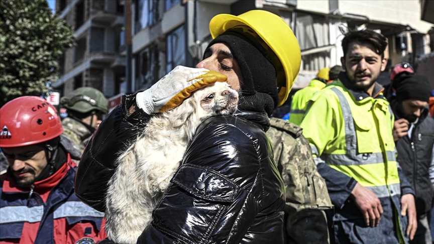 كلبة ترشد عمال الإنقاذ لمكان صاحبتها تحت الأنقاض 9