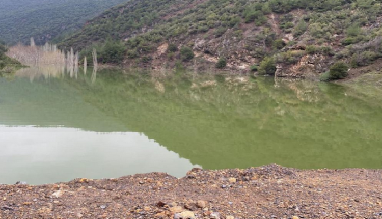 ولاية غازي عنتاب