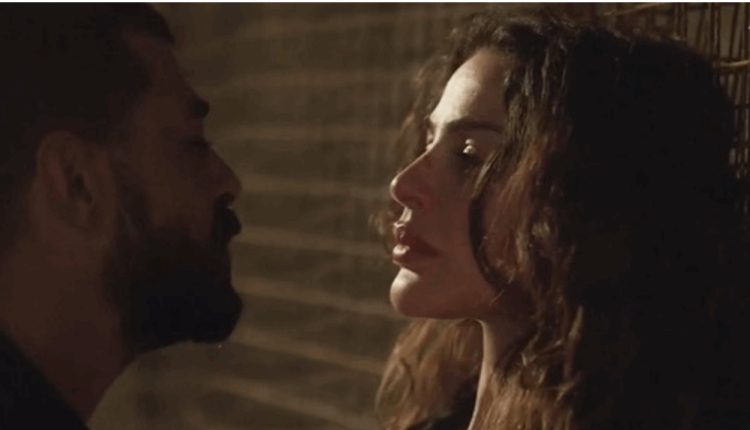 نادين نسيب نجيم