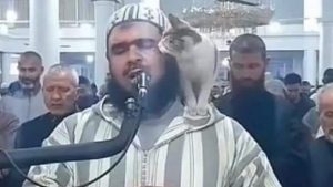 الجزائر تكرم الشيخ وليد مهساس بعد المشهد العفوي مع القطة أثناء الصلاة