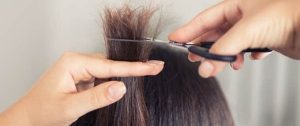 علاج تقصف الشعر بالفازلين