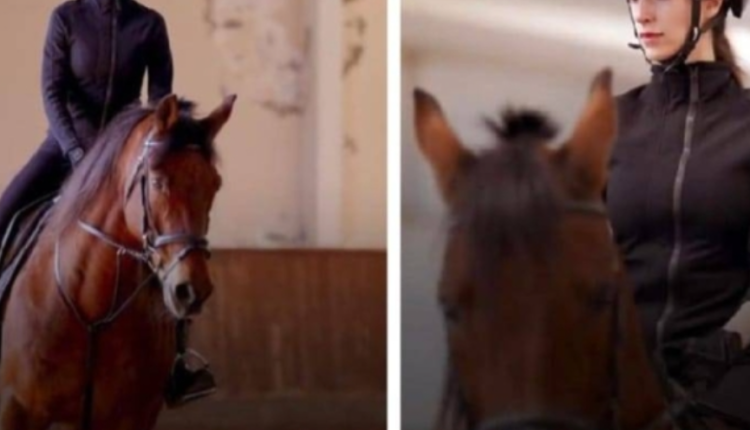 رجوة آل سيف