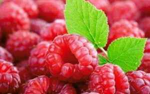 هذا ما يحدث لجسمك عند تناول التوت الأحمر يومياً