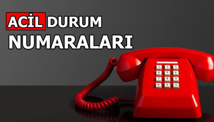 الطوارئ التركية