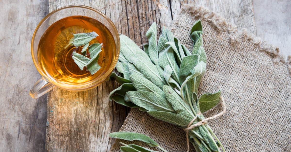 فوائد الميرمية للدورة الشهرية.. علاجاً فعالاً 5