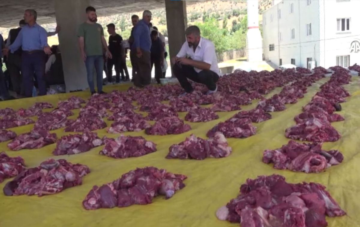 عادة مميزة في ولاية شرناق.. جمع الأضاحي في مكان واحد وتوزيعها بالتساوي على سكان القرية "فيديو" 31